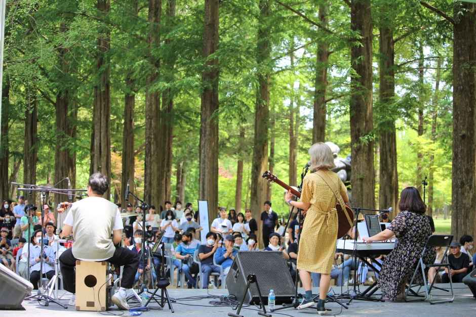 남이섬 어쿠스틱 청춘 페스티벌