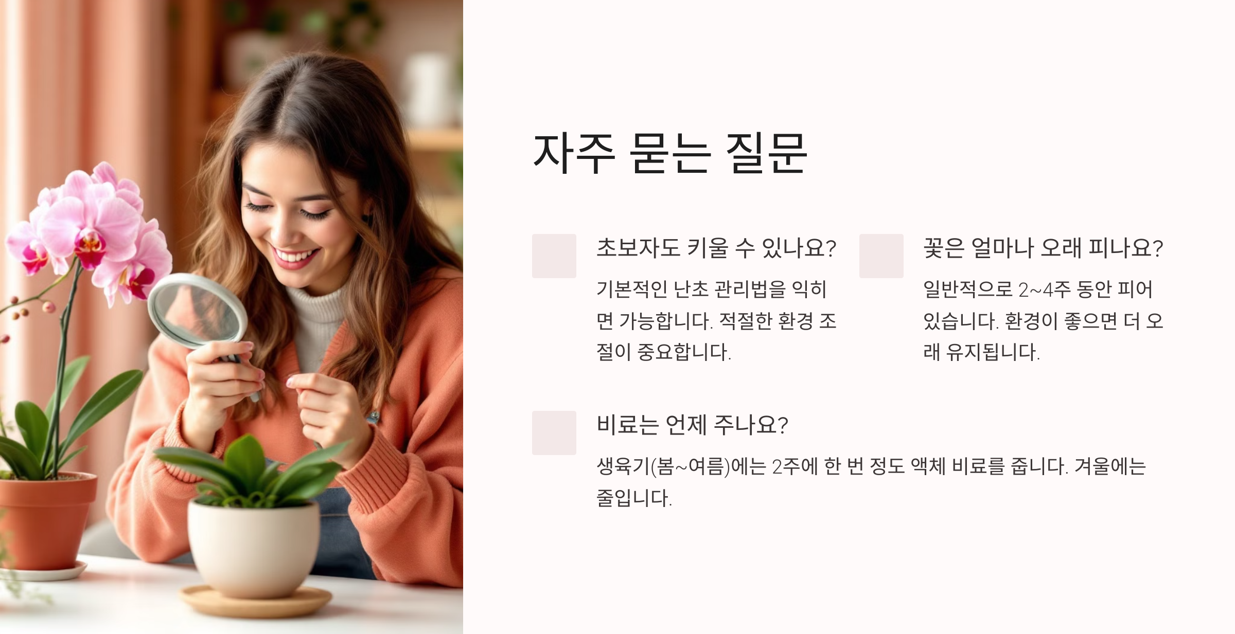 카틀레아 사진