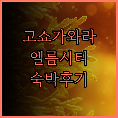 파크 인 고쇼가와라 엘름시티 숙박 후