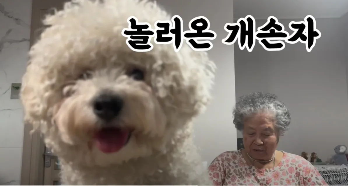 치매할머니, 개손자