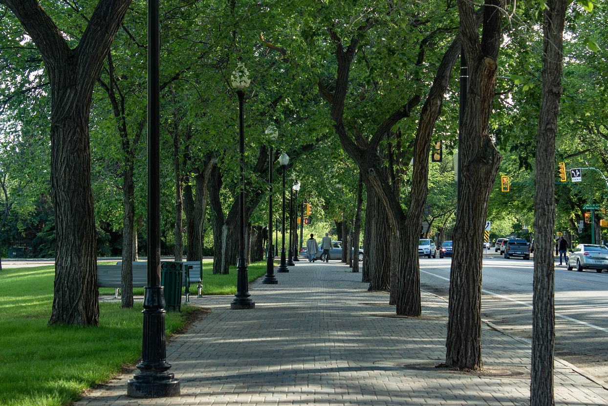 새스카툰 여행 사진