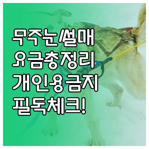 무주 눈썰매장 요금 체계와 개인 썰매..