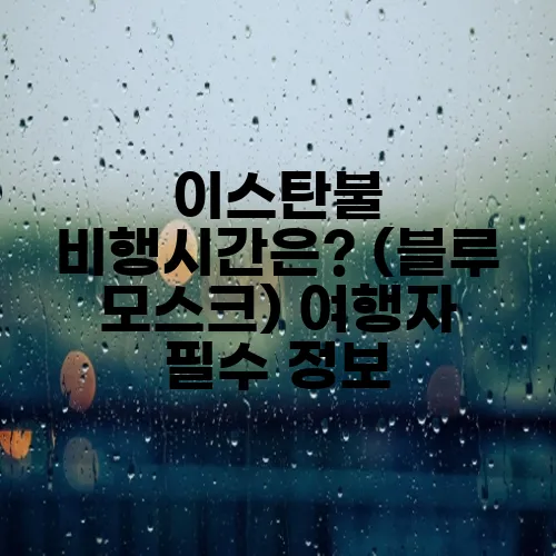 이스탄불 비행시간은? (블루 모스크) 여행자 필수 정보