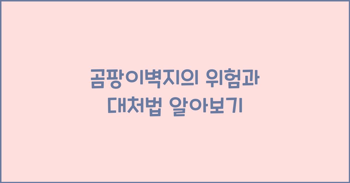 곰팡이벽지