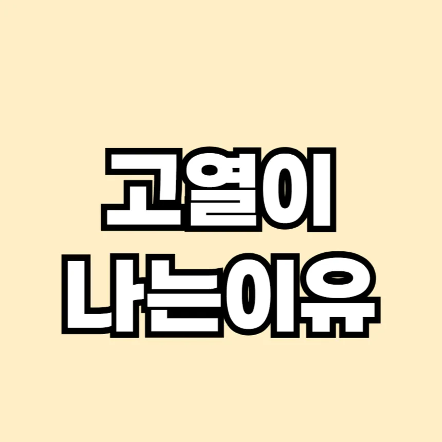 고열이 나는 이유