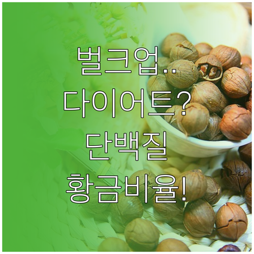 벌크업 다이어트 목적에 맞는 단백질 ..
