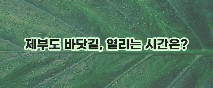 제부도 물때 시간표