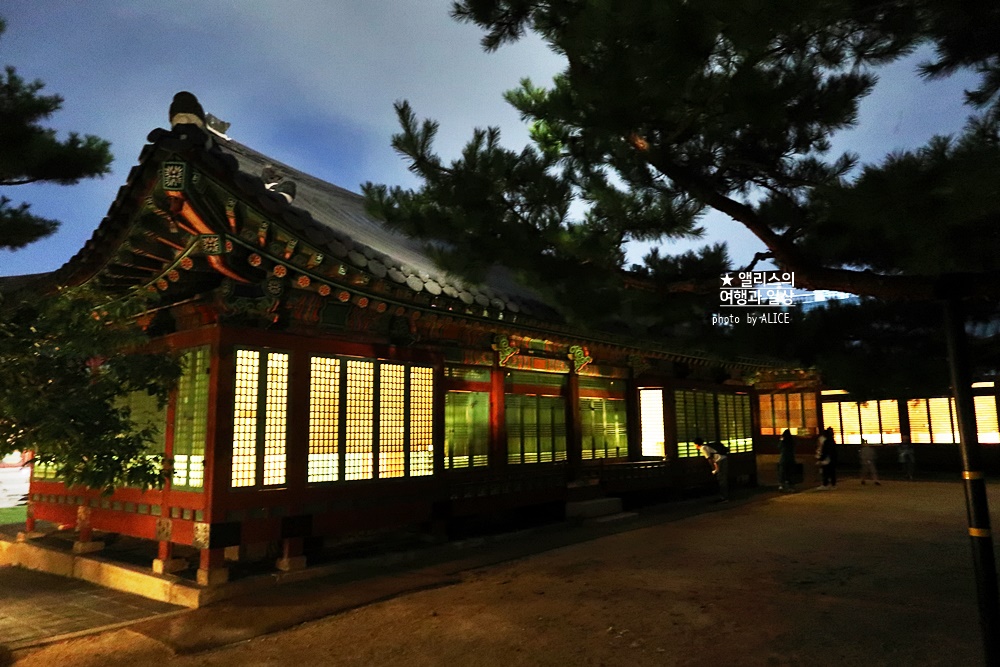 덕수궁 야간개장 방문후기 야간 덕수궁 야간투어 궁궐야행