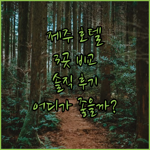 제주 호텔 완벽 분석 그랜드 하얏트 