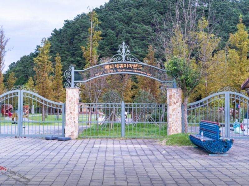 메타세쿼이아랜드 어린이프로방스