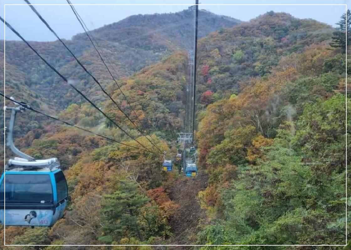 평창 가볼만한곳 베스트10 용평리조트 · 발왕산 케이블카