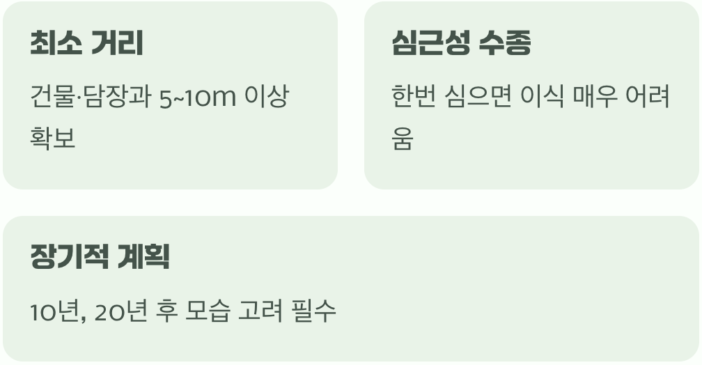 '어디에' 심을 것인가, 그것이 문제로다