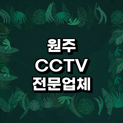 원주시 cctv