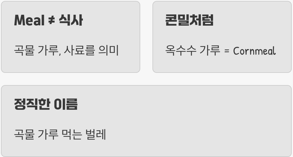 이름 속에 숨겨진 힌트, '식사'가 아니에요