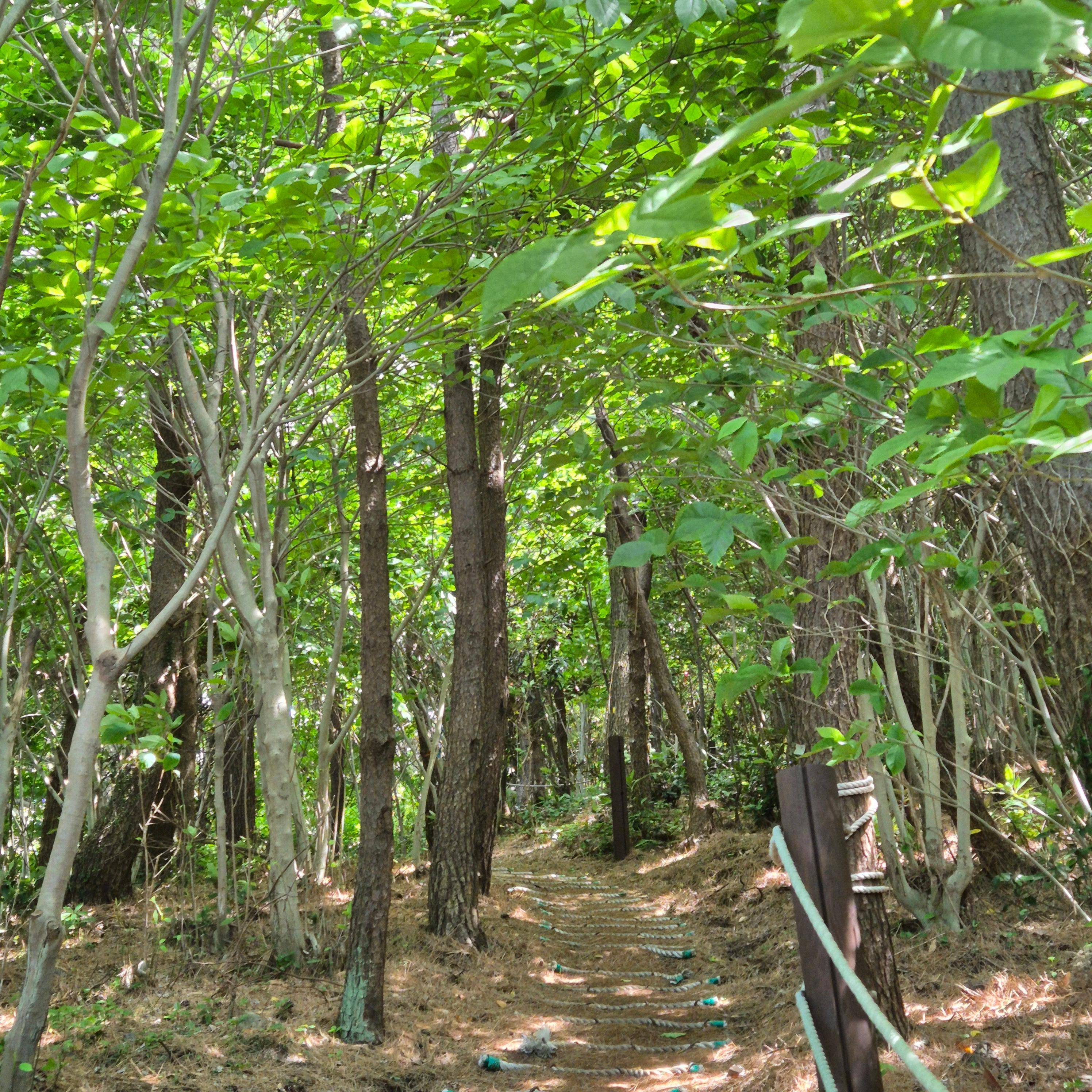 올레길 21코스, 제주올레 21코스, 지미봉, 종달리, 하도해녀박물관, 제주올레길, 종달바당, 제주여행코스, 올레길후기, 제주동부여행