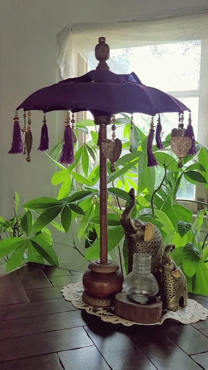 제주-카페패스-구좌-월정리-감성카페-너는파라다이스길리