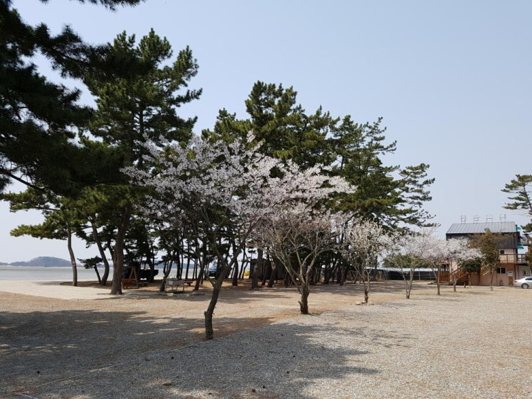 안산 대부도 인생 캠핑장, 추천 캠핑장