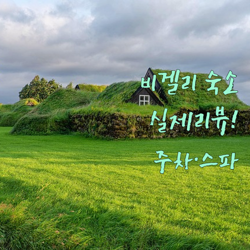 웨일즈 비겔리 여행 숙소 추천 5곳 ..
