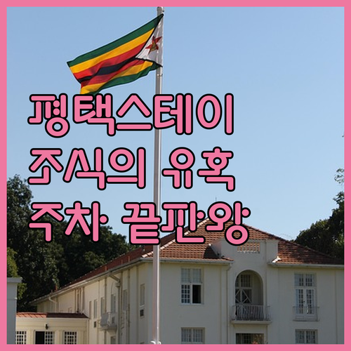 안성 평택 출장 여행 숙소 추천 평택..