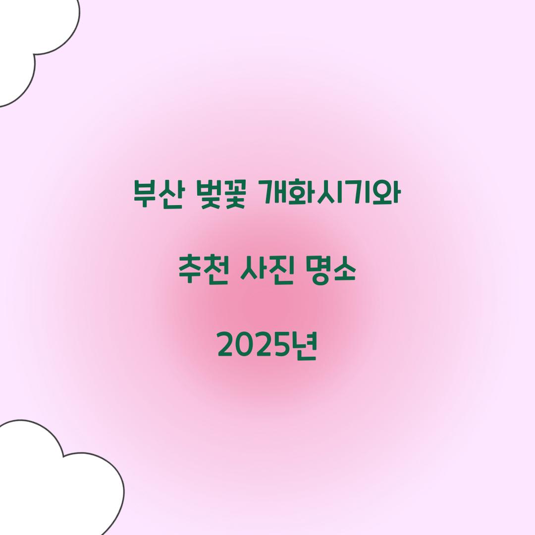 부산 벚꽃 개화시기