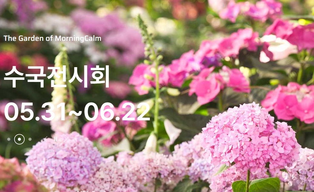 아침고요수목원 수국전시회 포스터