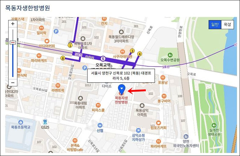 목동자생한방병원지도