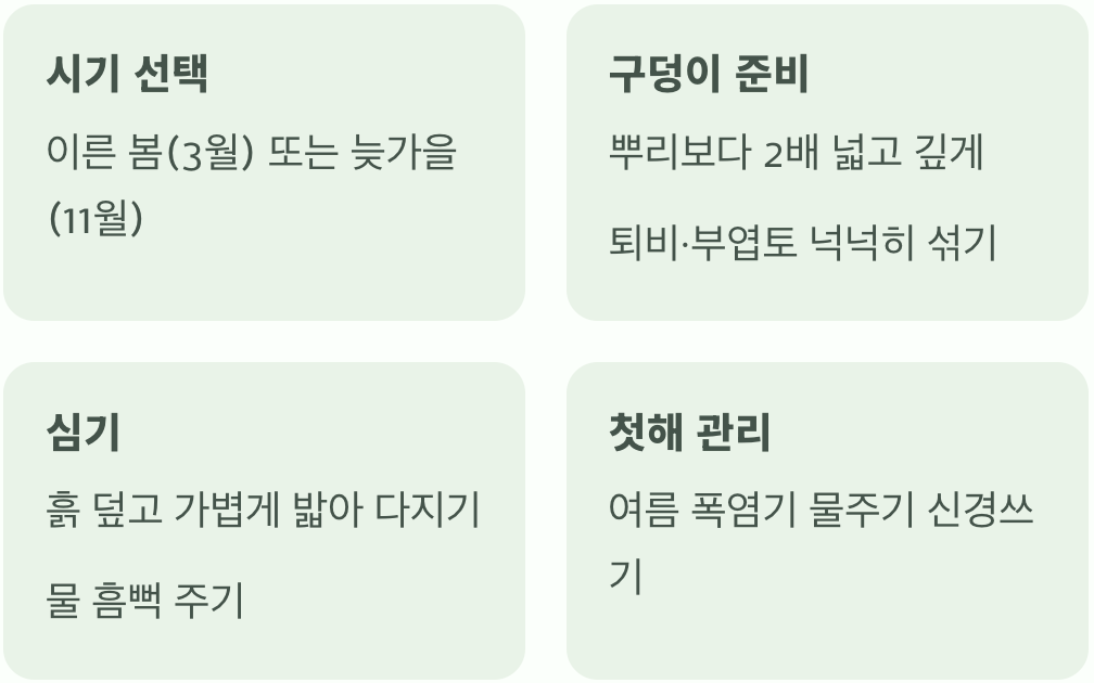 성공적인 첫걸음, 옮겨 심기