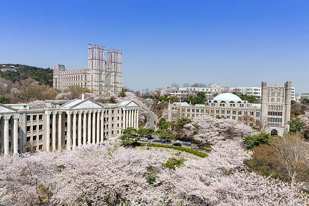 수시 원서접수 취소방법 총정리