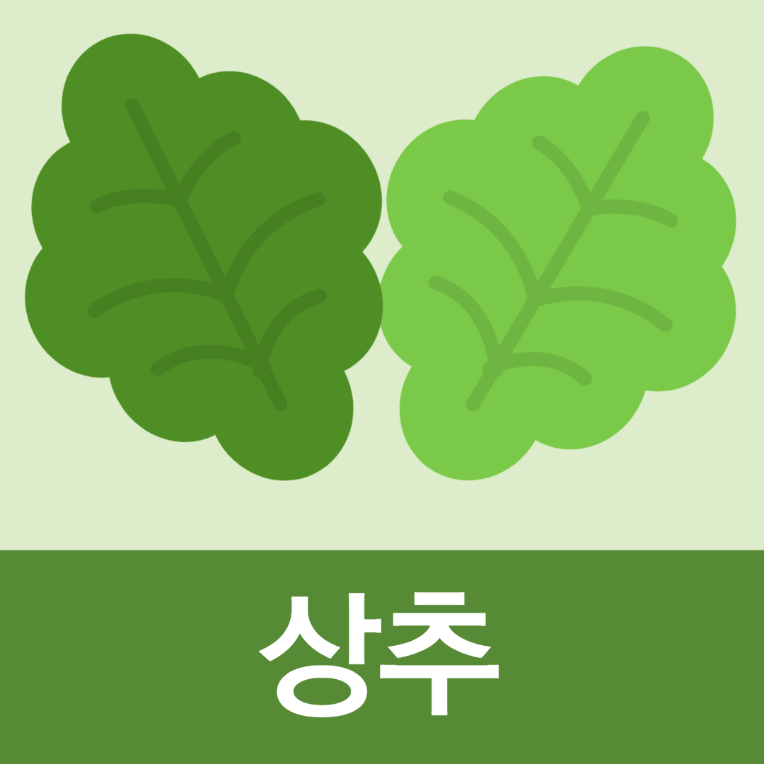 상추 효능 부작용