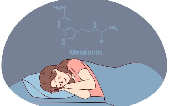 아침운동 생체리듬