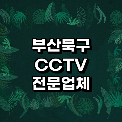 부산 북구 cctv