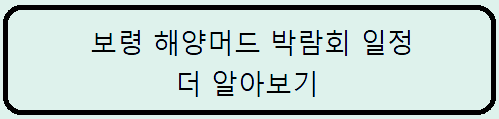 머드축제 일정