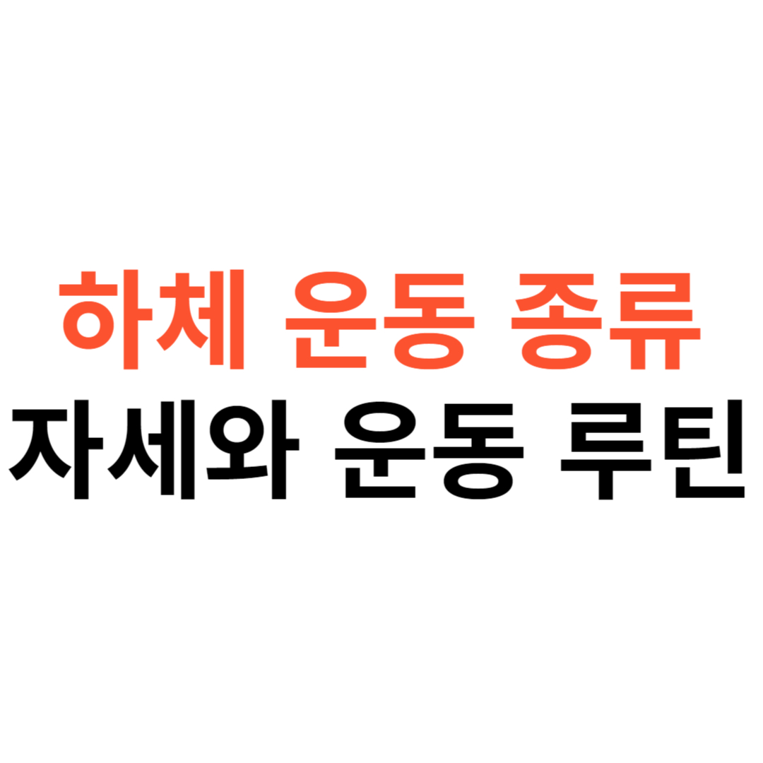 하체운동종류와 자세 운동 루틴