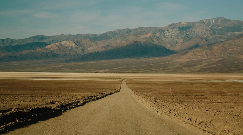 타이젬 바둑 다운로드