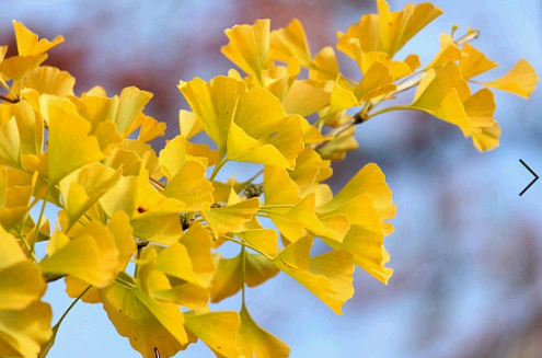 추석 가볼만한 곳 무료