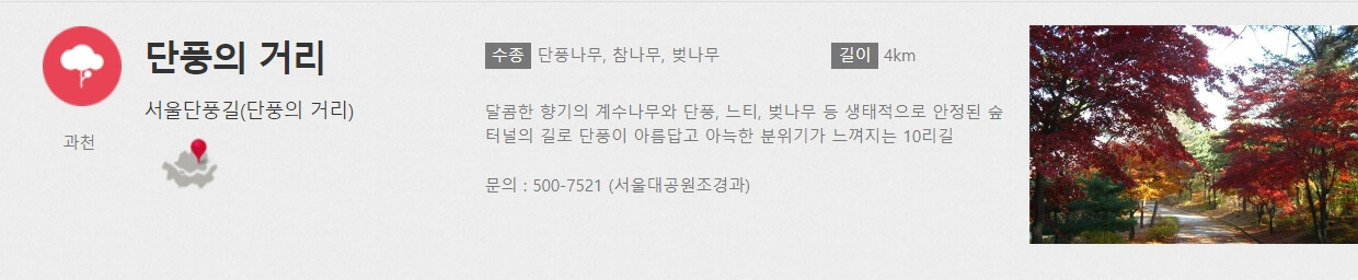 서울대공원 단풍의 거리