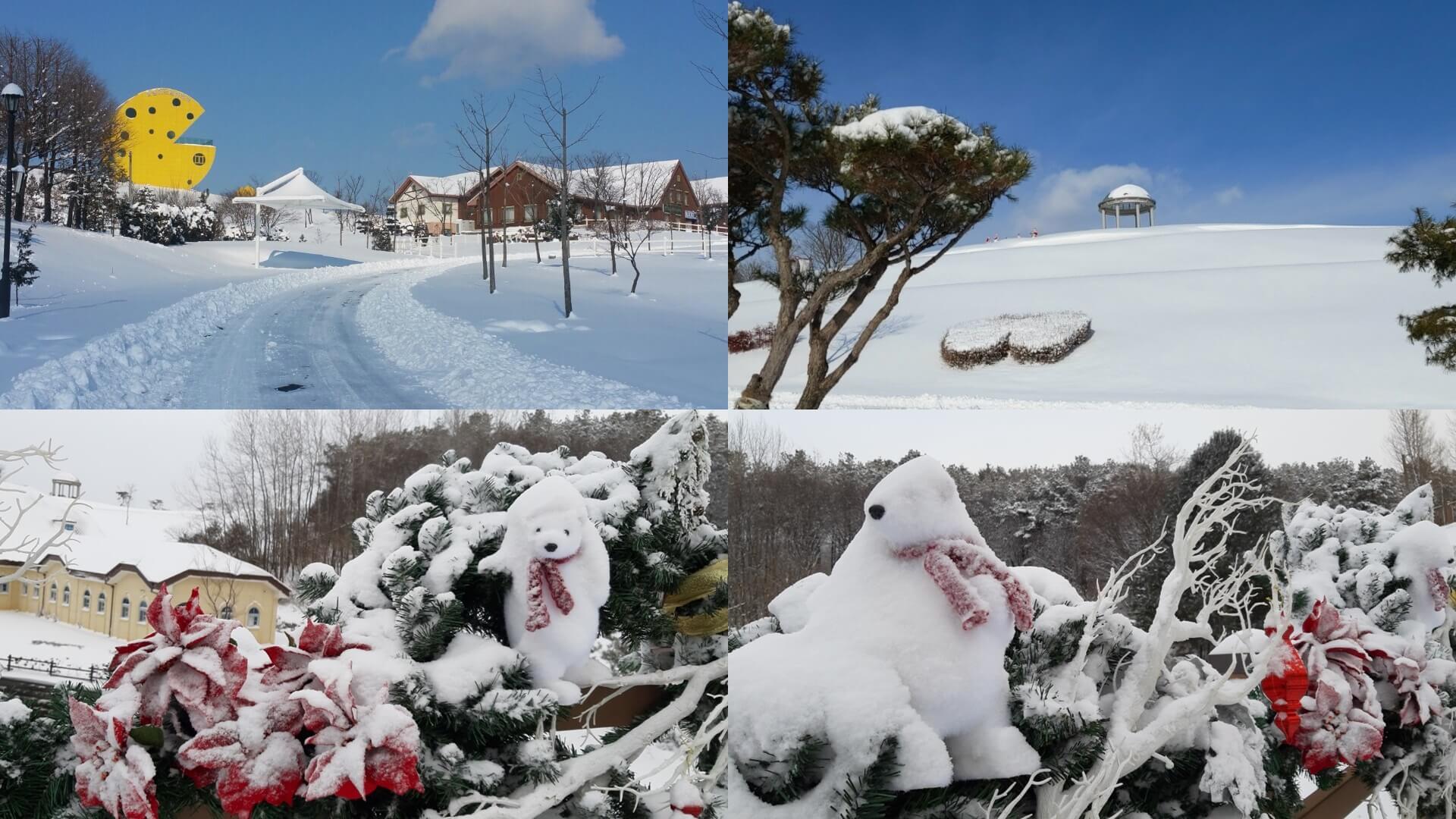 임실치즈테마파크 설경사진으로 상단좌측부터 하단우측까지 산타축제 행사장 입구 근처 눈으로 덮여있는 길만 눈이 치워진 사진과 높은 언덕위에 정자지붕위와 언덕이 눈으로 덮여있는 사진이며 크리스마스트리와 큰곰인형이 형체를 알아보기 어려울정도로 눈으로 덮여있는 사진