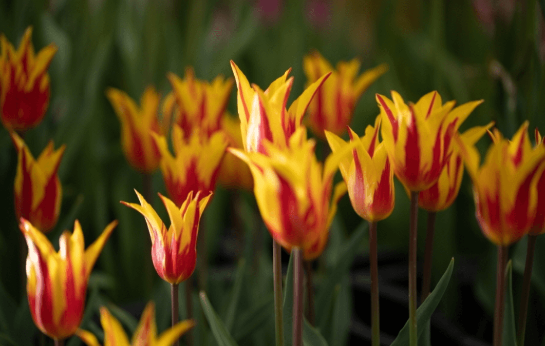 5월 충청남도 여행 추천 가볼만한 곳&amp;#44; 축제 일정 