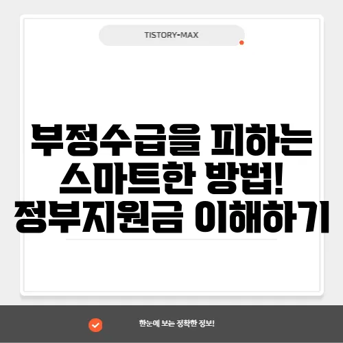 부정수급을 피하는 스마트한 방법! 정부지원금 이해하기