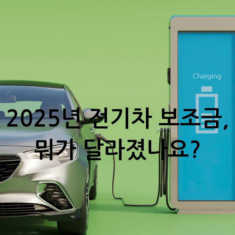 2025년 전기차 보조금