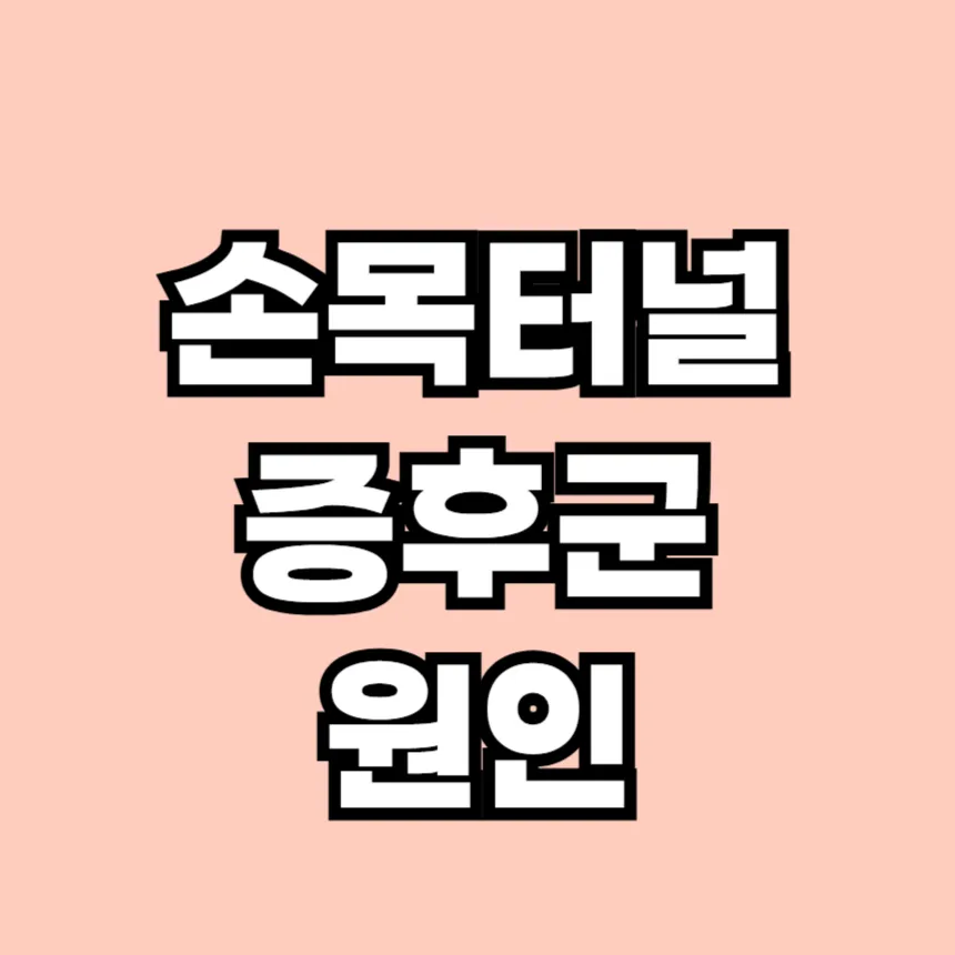 손목터널증후군 원인