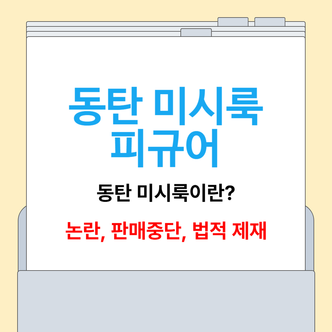 동탄 미시룩피규어[논란, 판매,법적 제재]