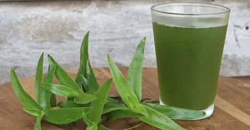 설사가 계속될때 대처방안