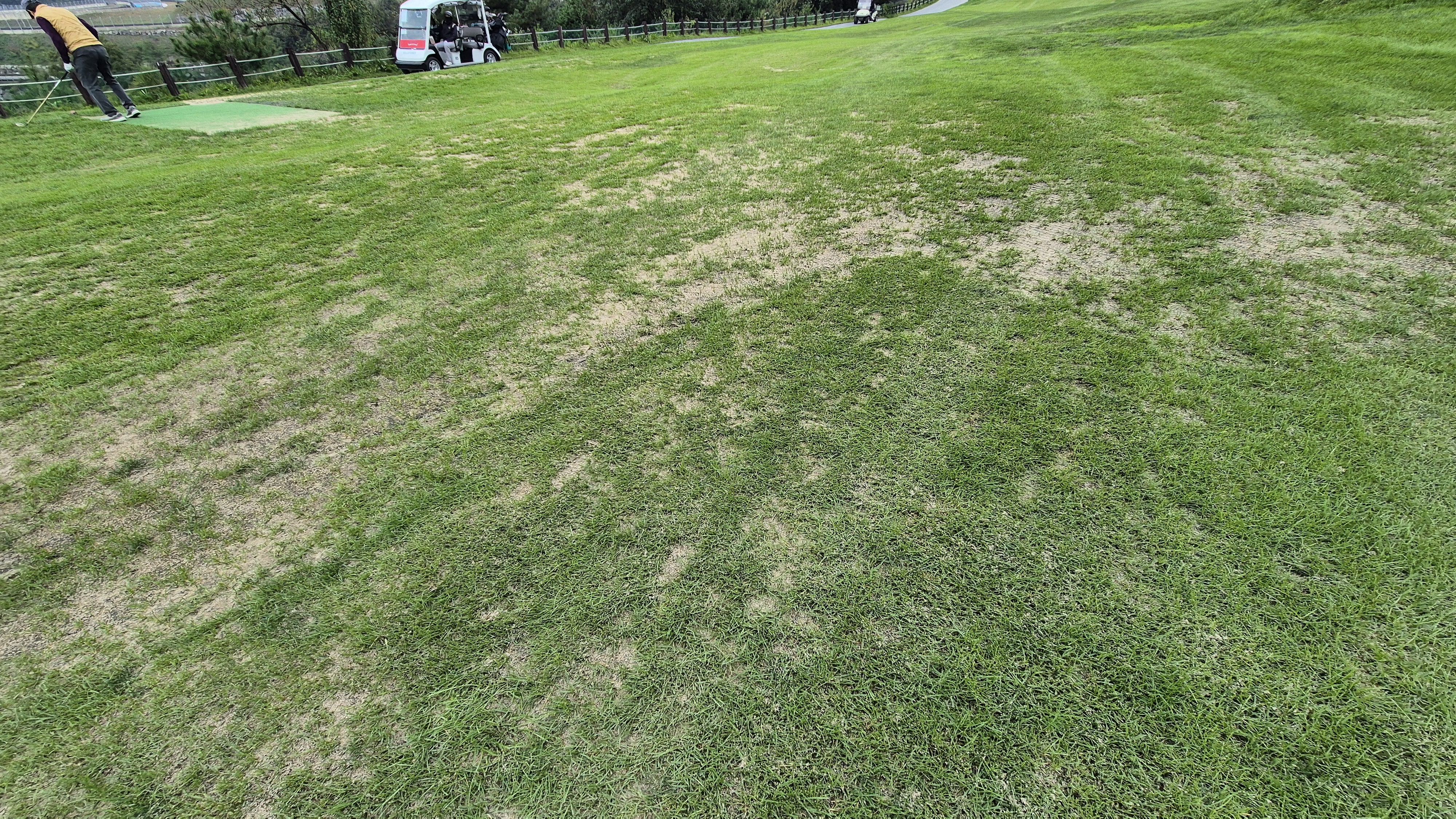 블랙스톤 벨포레cc 코스 관리 상태