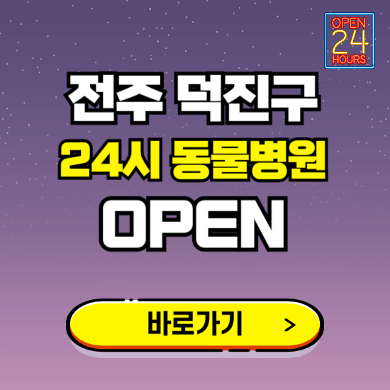 전주시 덕진구 24시 동물병원 진료하는 곳 ❘ 설날 휴일 야간 심야 문여는곳 찾기 ❘ 응급진료