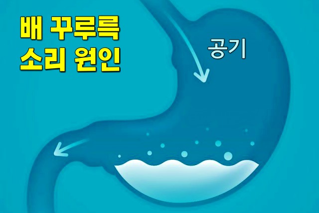 배에서 꾸르륵 소리 소화가 잘 안될때 나타나는 증상, 소화불량 증상, 팁줌