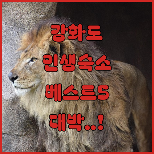 강화도 가볼만한곳 근처 숙소 5곳 시..