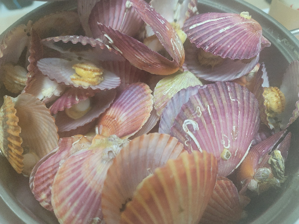 홍가리비찜