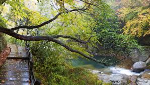 국내 겨울 가족 여행지 추천 설악 워터피아 스파밸리, 울진덕구온천 전경