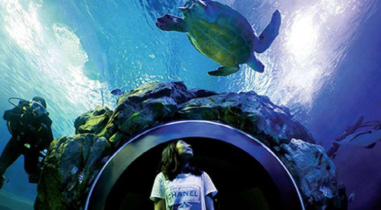 울진 아쿠아리움